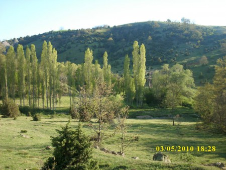 çalkara köyümüze ait olan kirazlıdere mevkii